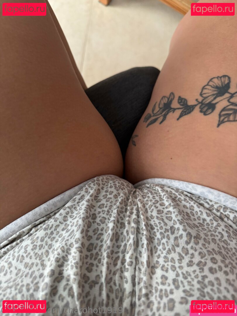 charohot1919 Nude Onlyfans Photo 21