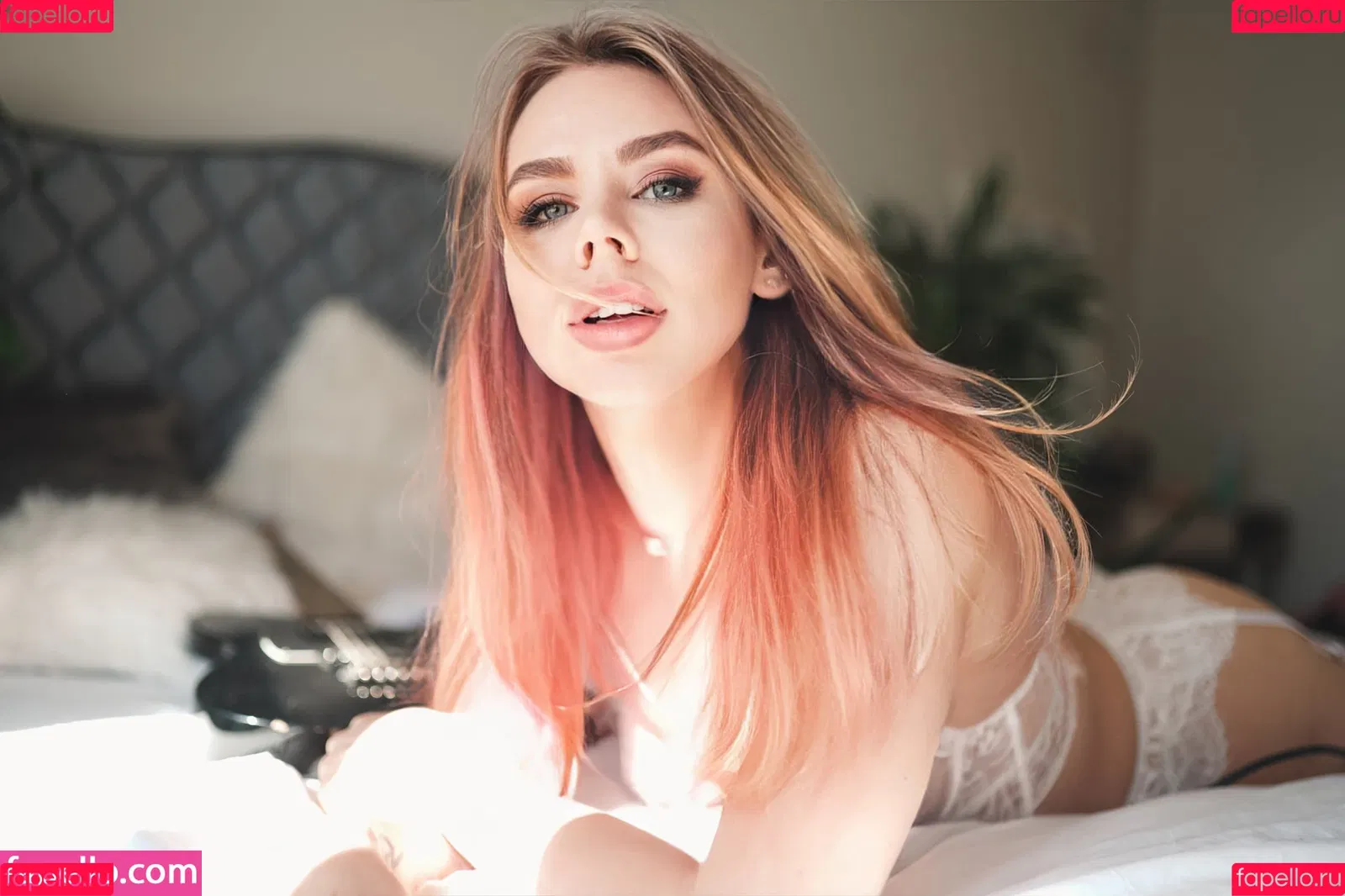 Misscoookiez Onlyfans Photo Gallery 