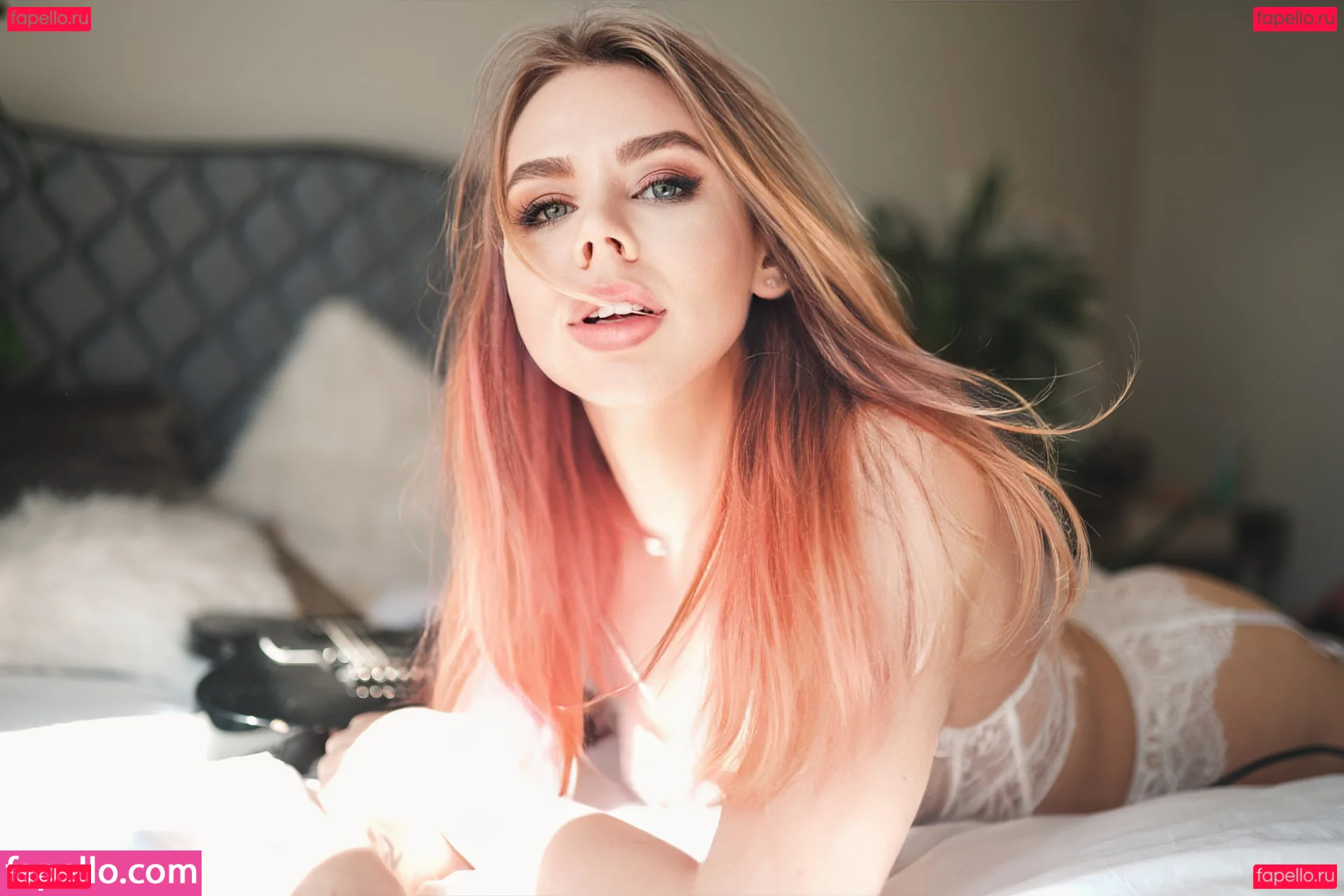 Misscoookiez Onlyfans Photo Gallery 