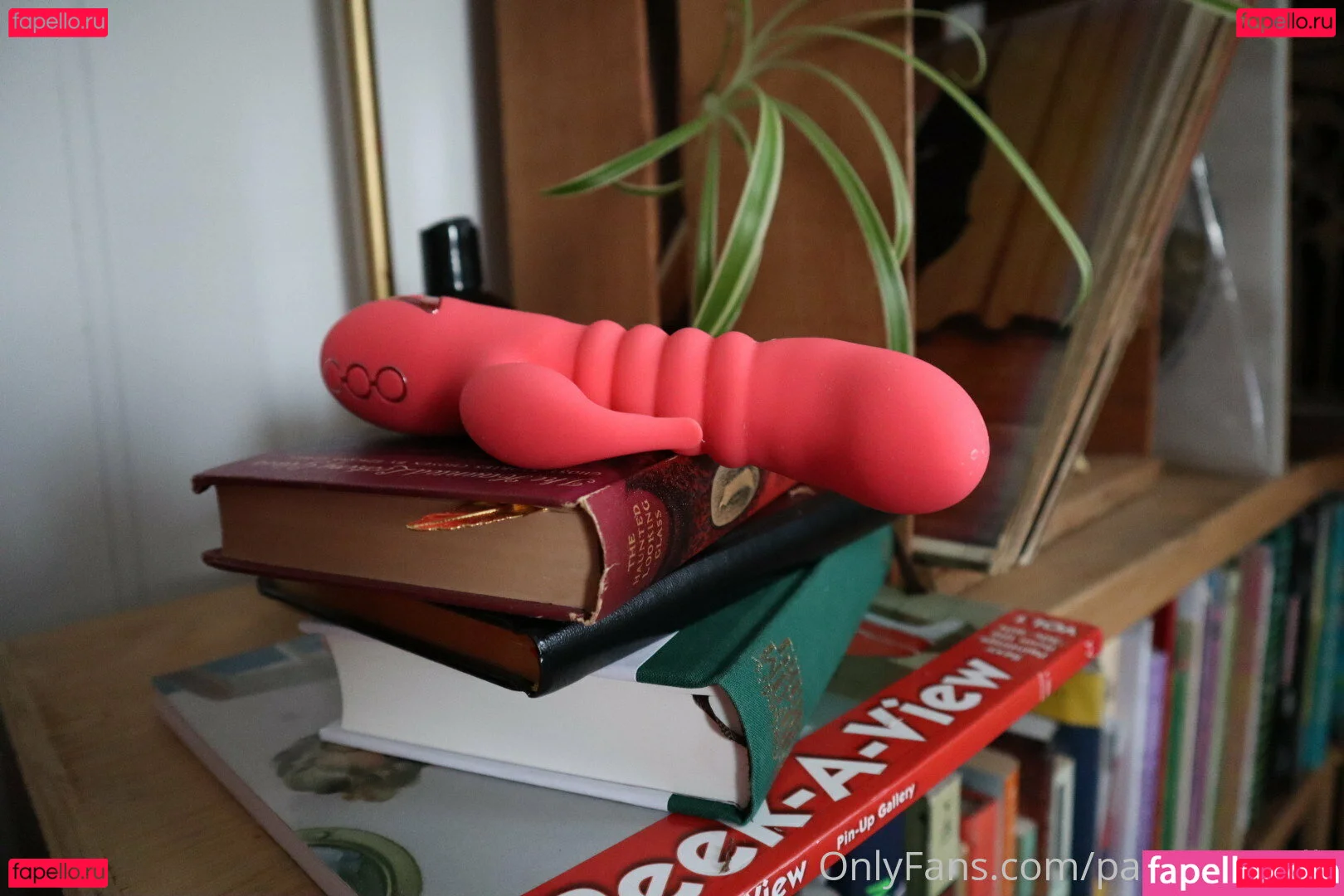 pageofscrolls Onlyfans Photo Gallery 