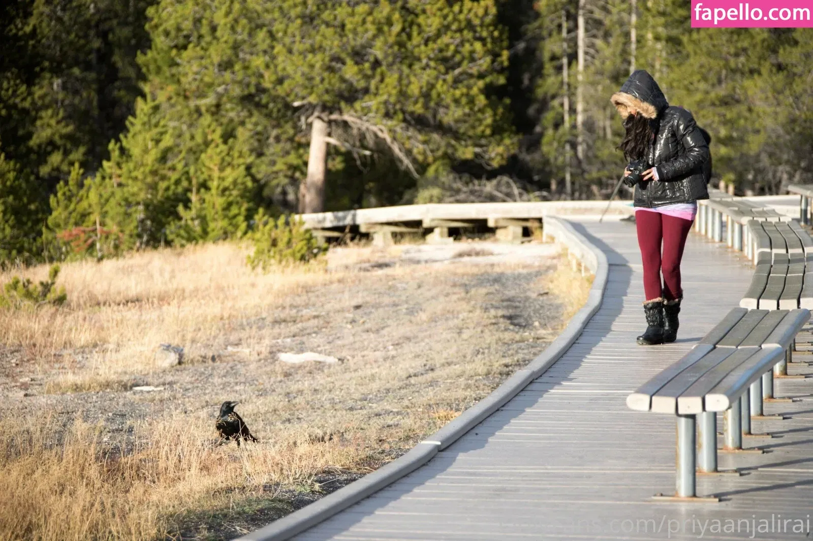 Priya Anjali Rai Onlyfans Photo Gallery 