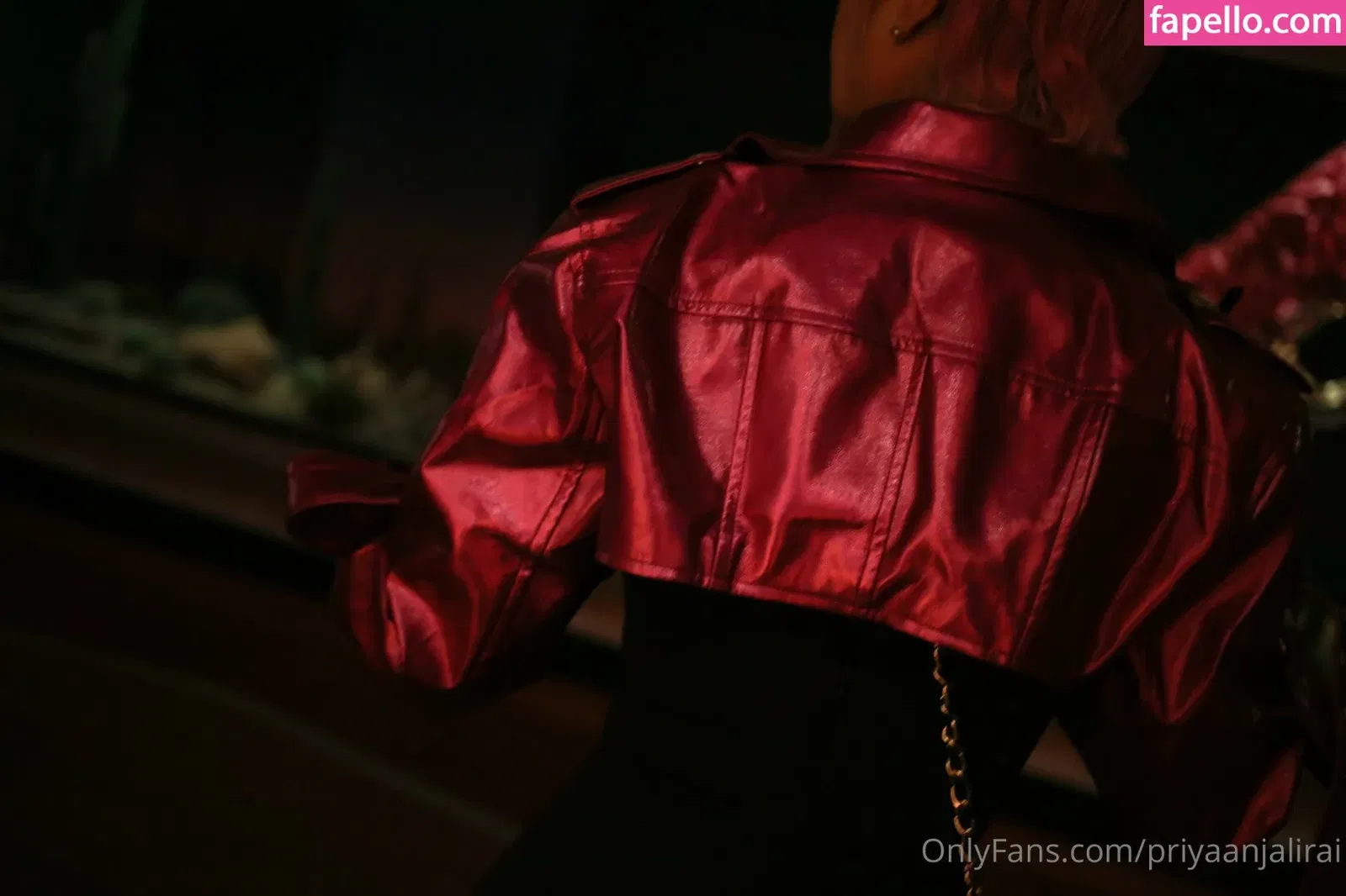 Priya Anjali Rai Onlyfans Photo Gallery 