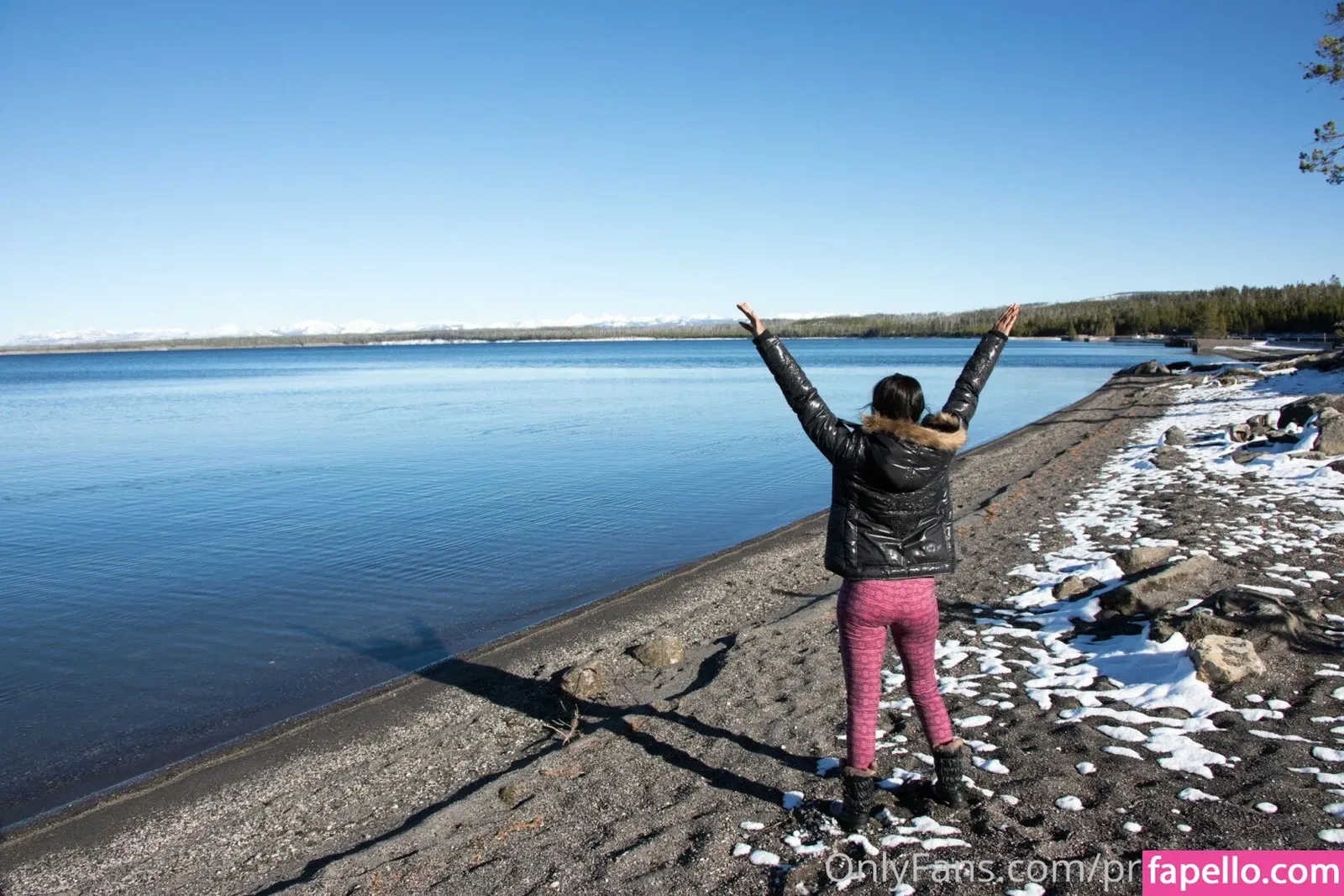 Priya Anjali Rai Onlyfans Photo Gallery 