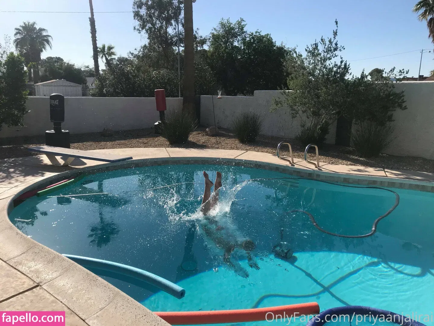 Priya Anjali Rai Onlyfans Photo Gallery 