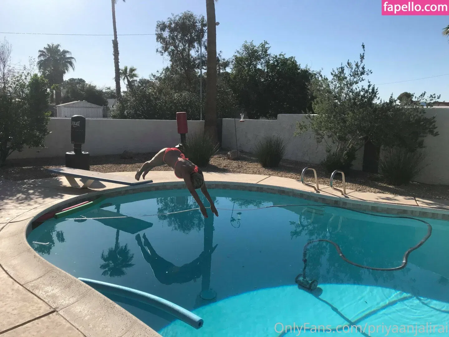 Priya Anjali Rai Onlyfans Photo Gallery 