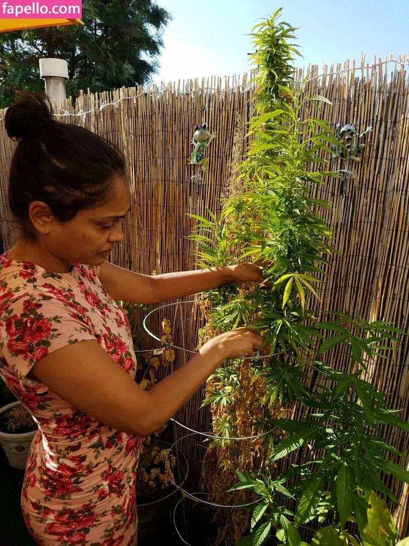 Priya Anjali Rai Onlyfans Photo Gallery 