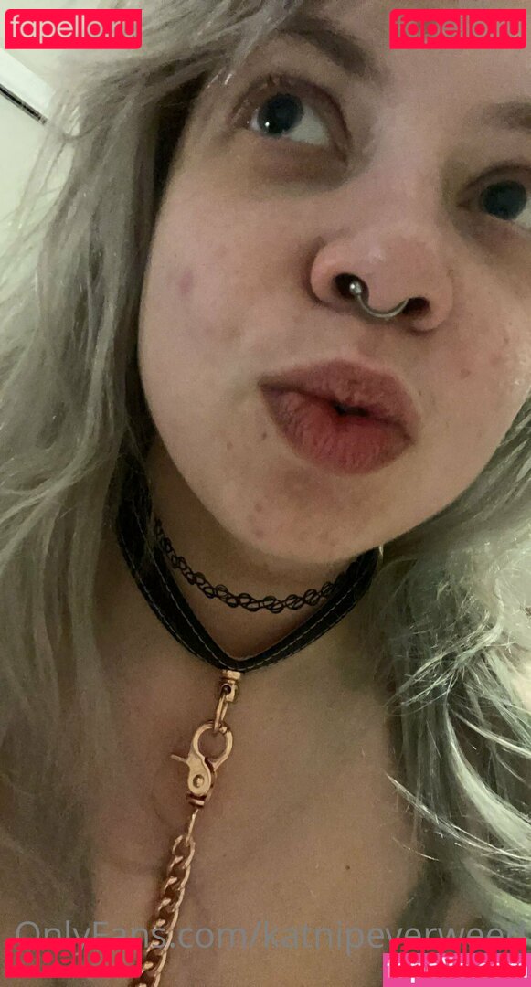 katnipeverweed Nude Onlyfans Photo 43
