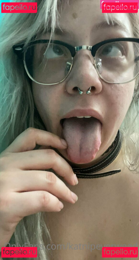 katnipeverweed Nude Onlyfans Photo 42