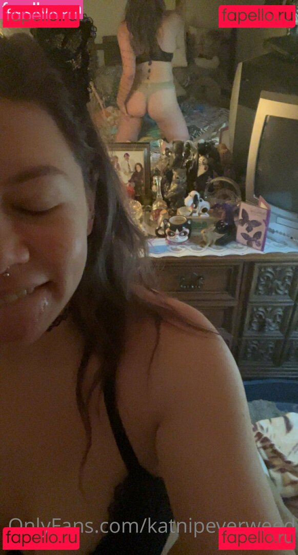 katnipeverweed Nude Onlyfans Photo 39
