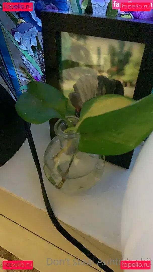 collzorgs Onlyfans Photo Gallery 