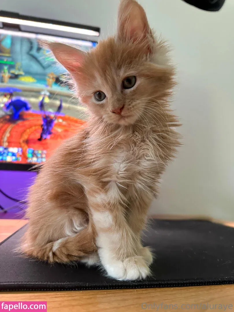 aluraye Onlyfans Photo Gallery 