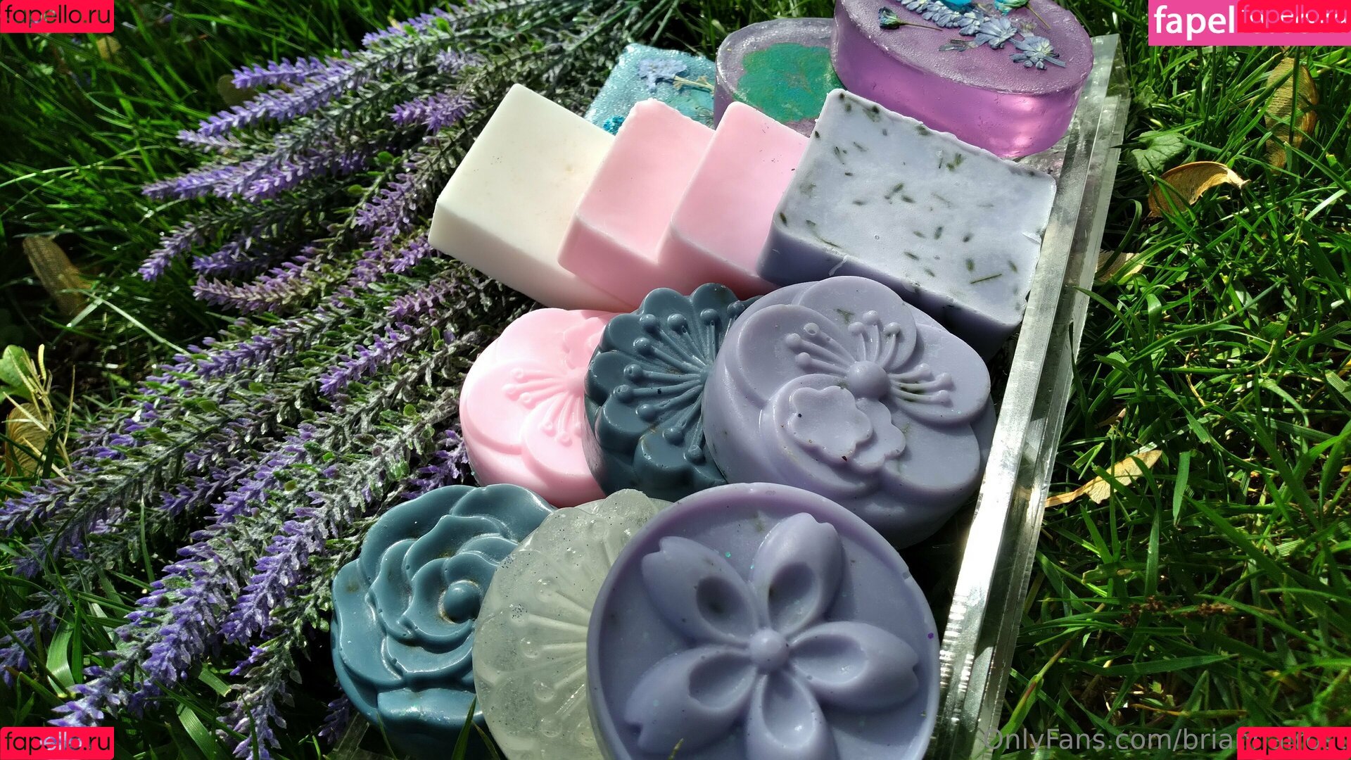 briannafrost Onlyfans Photo Gallery 