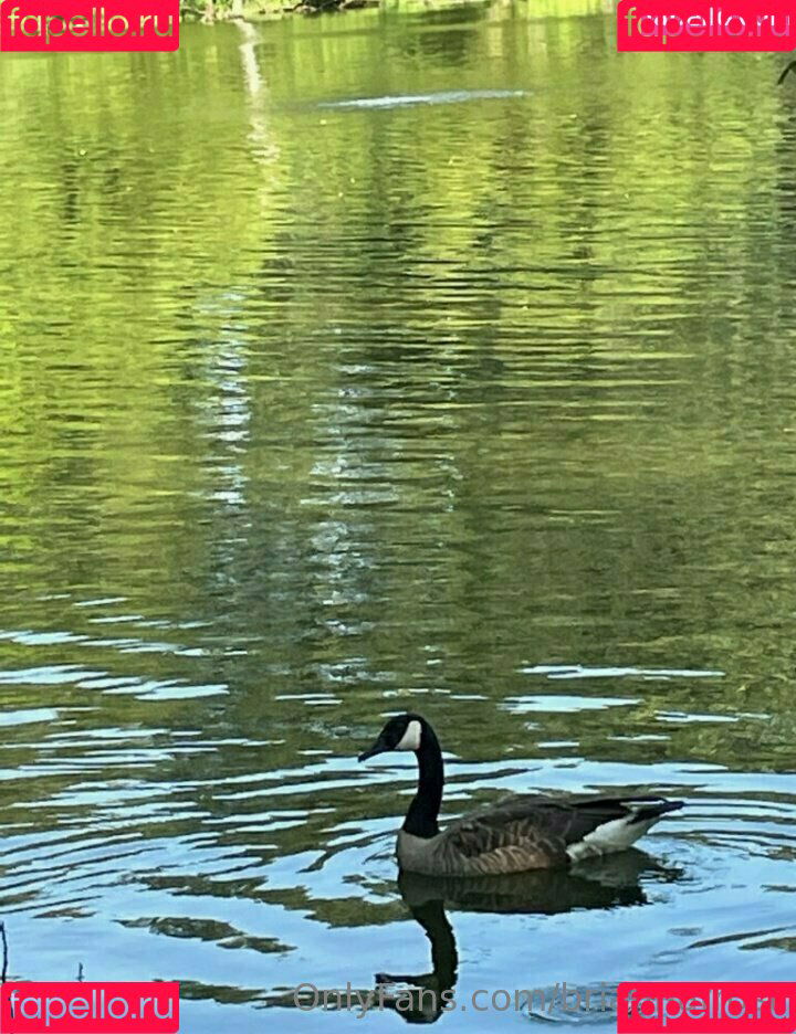 briannafrost Onlyfans Photo Gallery 