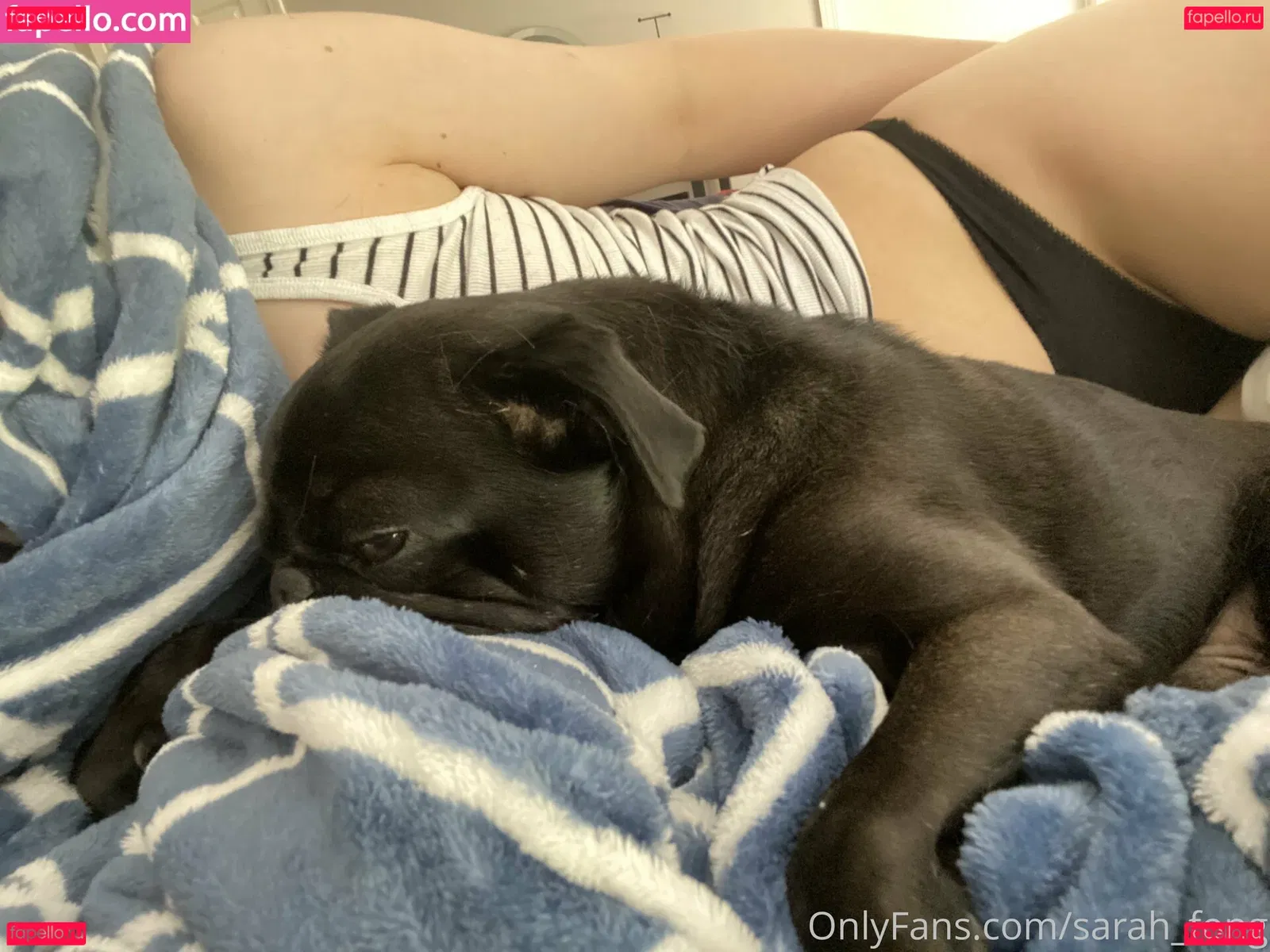 Sarah Fong Onlyfans Photo Gallery 