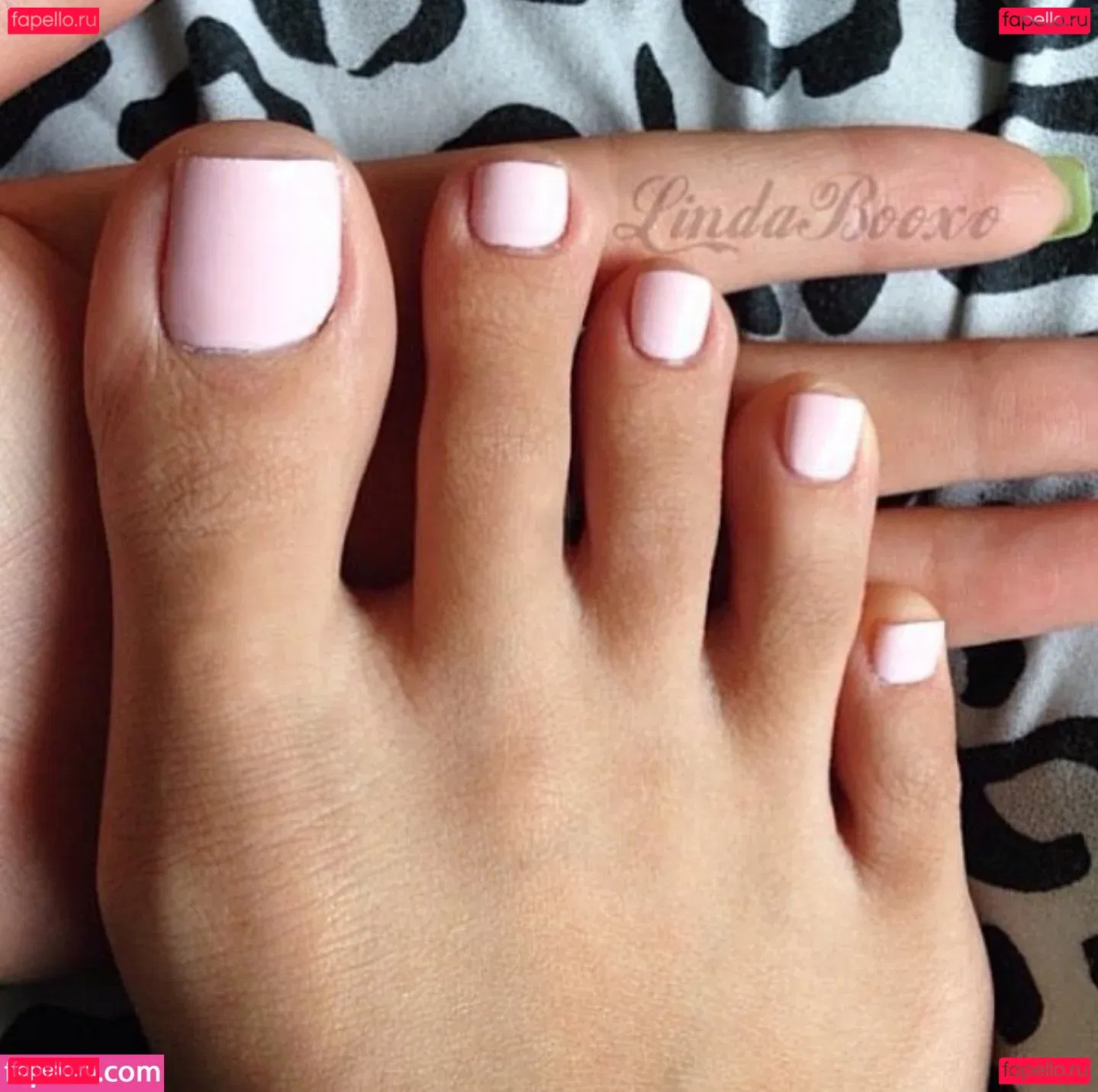 Lindabooxo Onlyfans Photo Gallery 