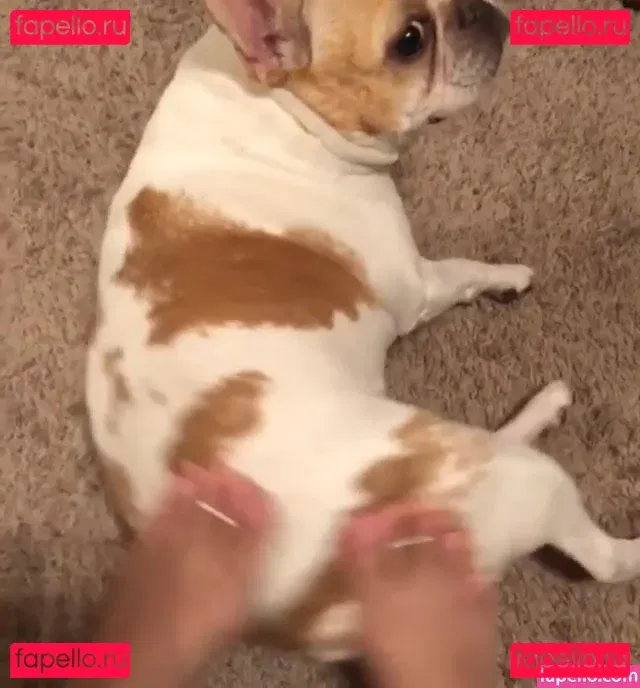 Lindabooxo Onlyfans Photo Gallery 