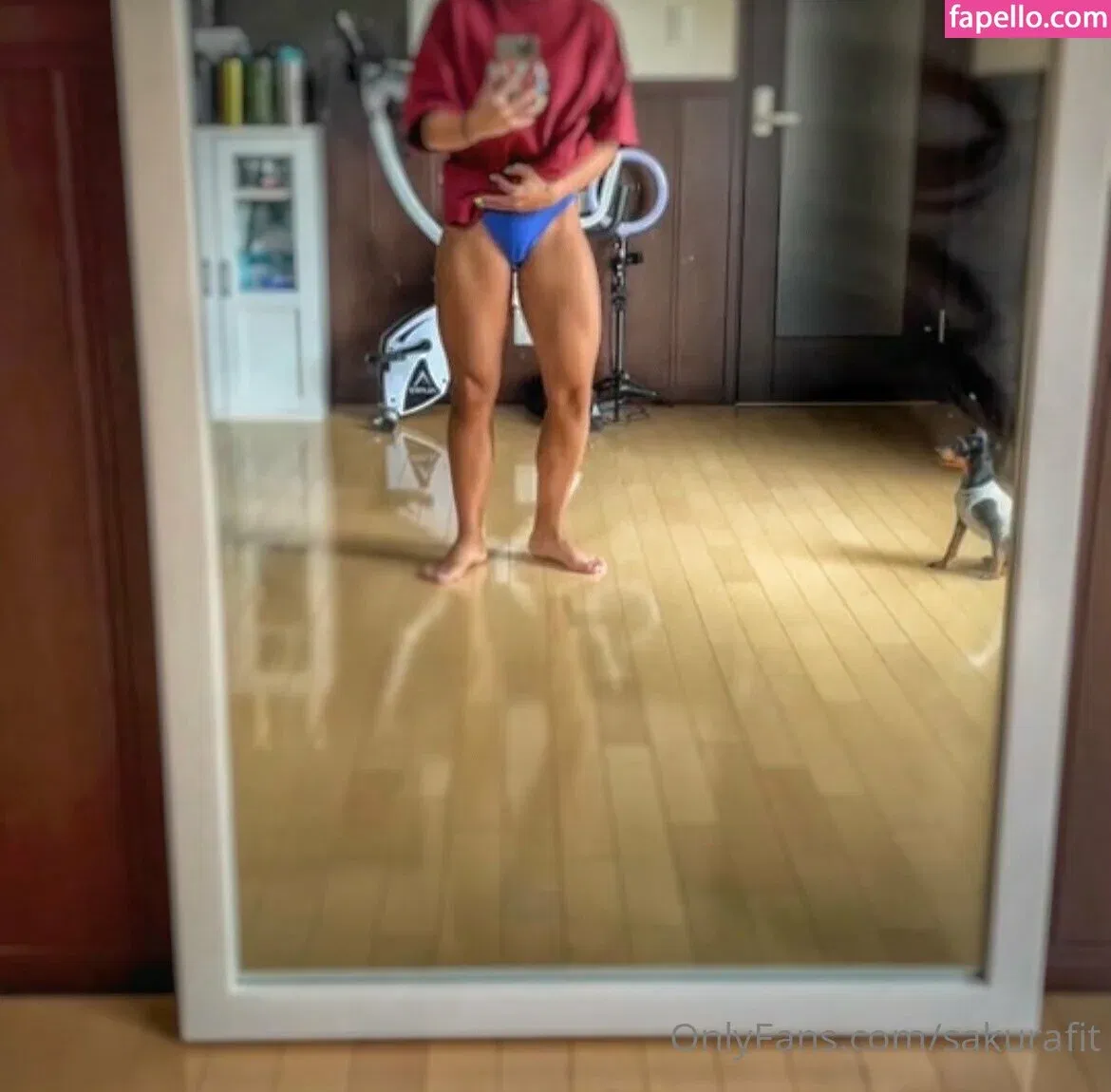 sakurafit Onlyfans Photo Gallery 