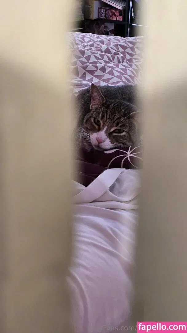 mikan_cosfree Onlyfans Photo Gallery 