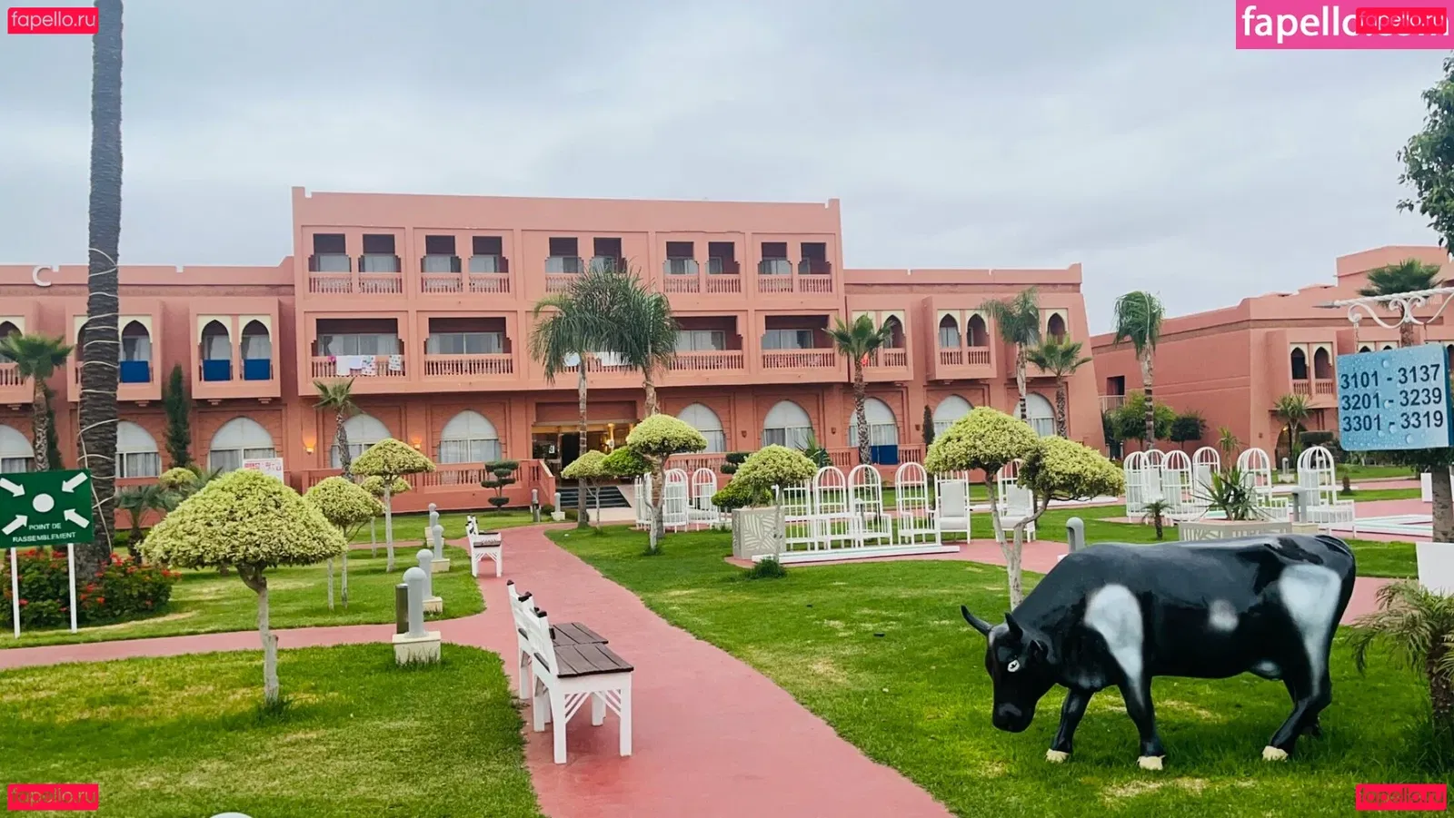 coco-lls Onlyfans Photo Gallery 