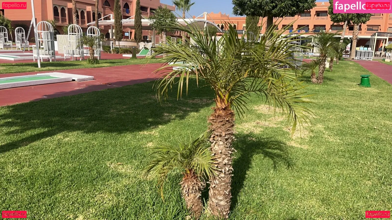 coco-lls Onlyfans Photo Gallery 