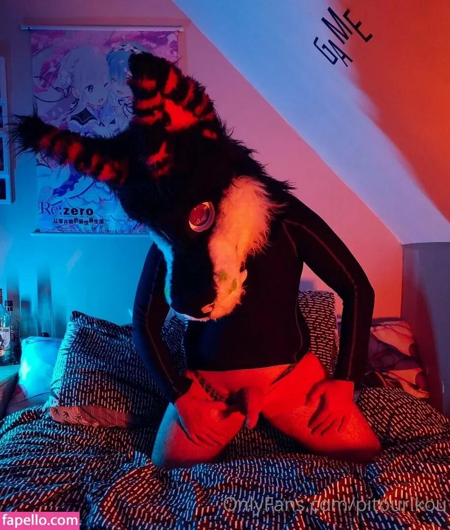 pitourikou Onlyfans Photo Gallery 