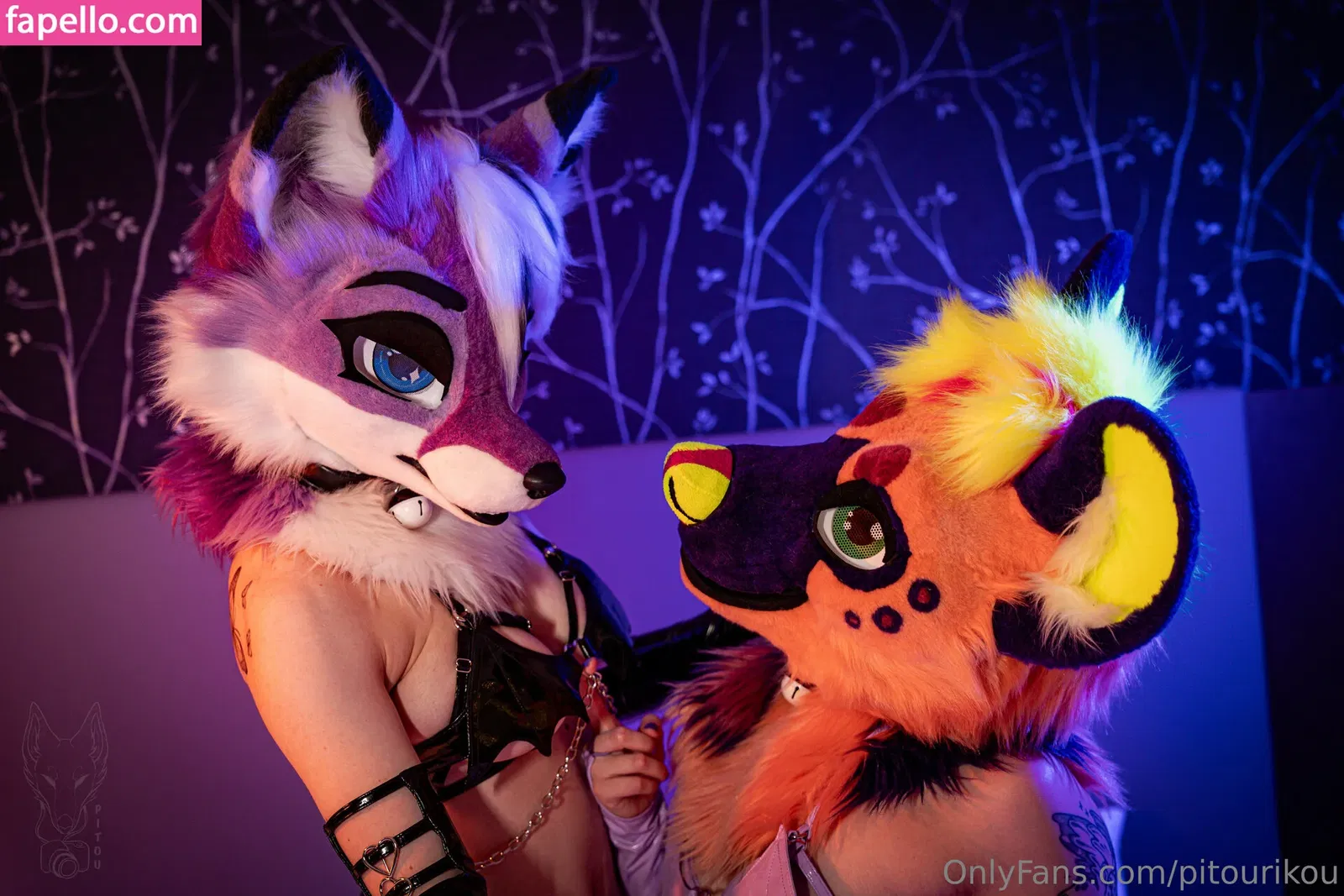 pitourikou Onlyfans Photo Gallery 