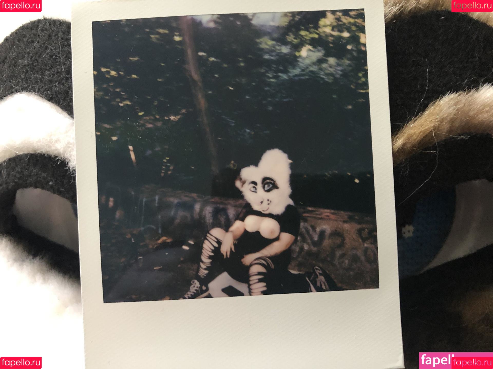 saoirsemutt Onlyfans Photo Gallery 