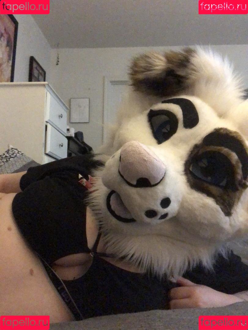 saoirsemutt Onlyfans Photo Gallery 