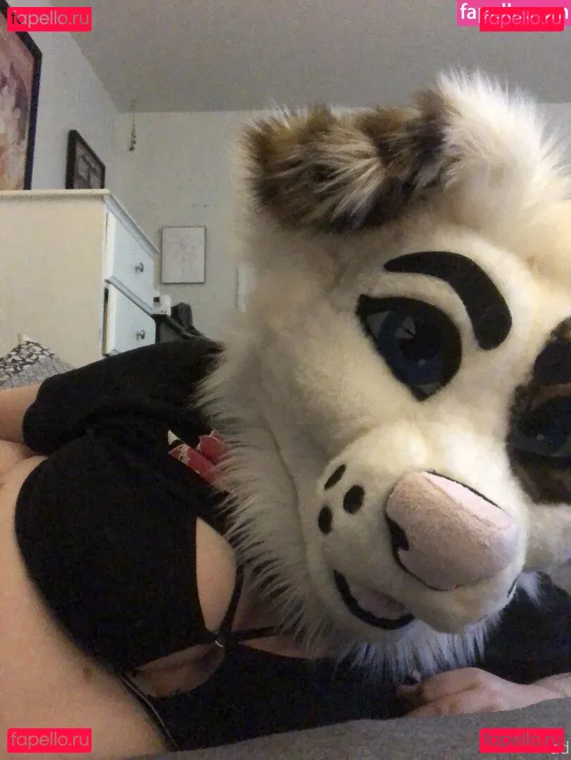 saoirsemutt Onlyfans Photo Gallery 