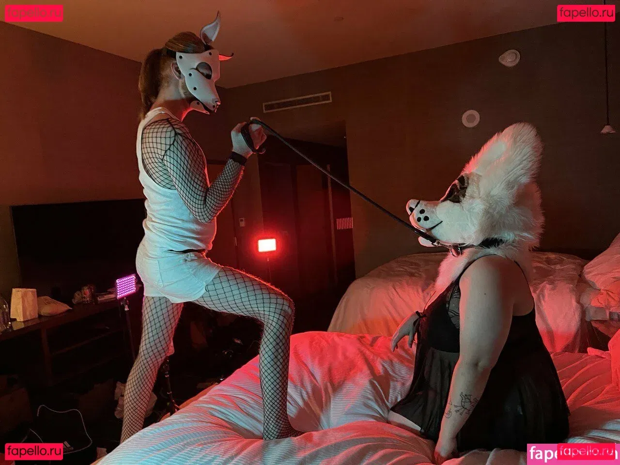 saoirsemutt Onlyfans Photo Gallery 