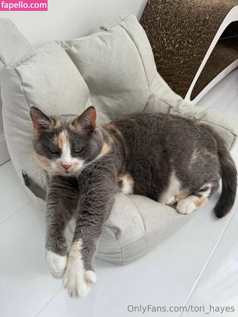 Tori_Hayes Onlyfans Photo Gallery 