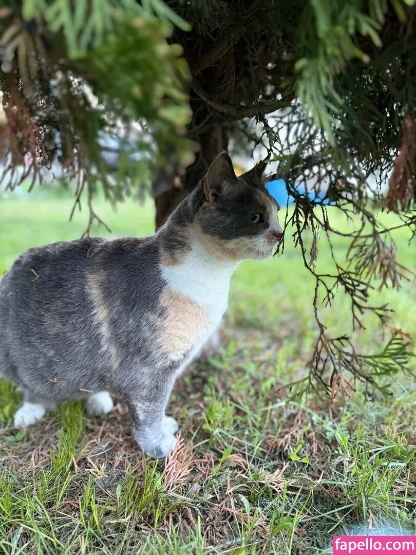 Tori_Hayes Onlyfans Photo Gallery 