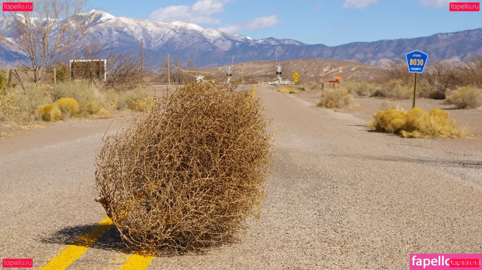 Grimoire Onlyfans Photo Gallery 