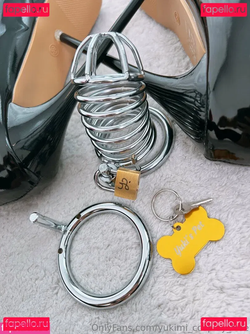 yukimi_cosplay_free Onlyfans Photo Gallery 