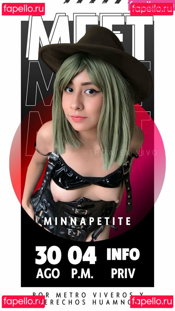 minnapetite Nude Onlyfans Photo 51