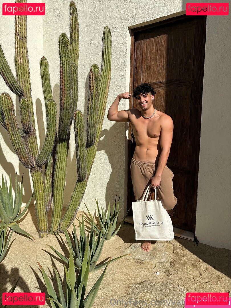valentinopapii Nude Onlyfans Photo 43