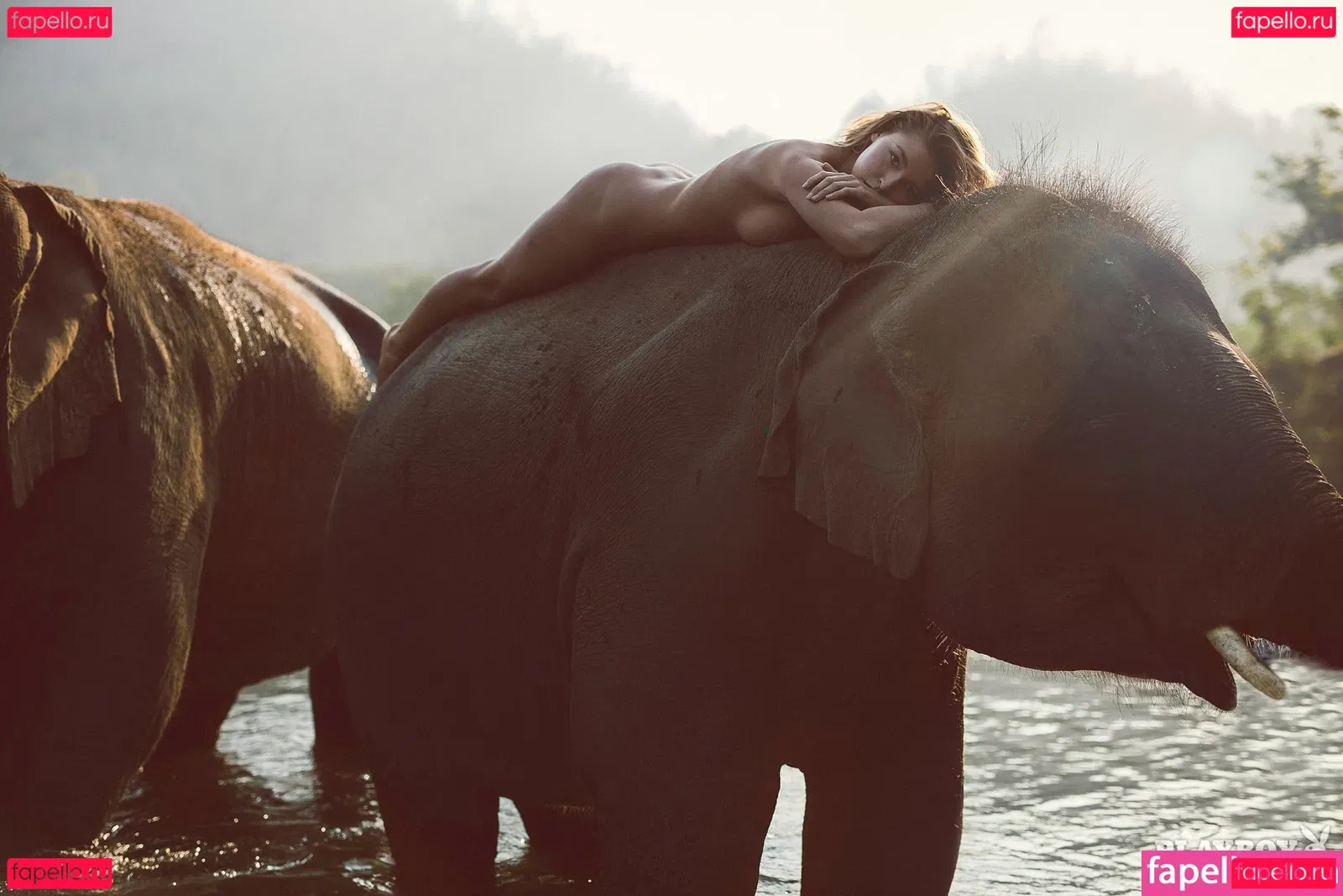 Marisa Papen Onlyfans Photo Gallery 