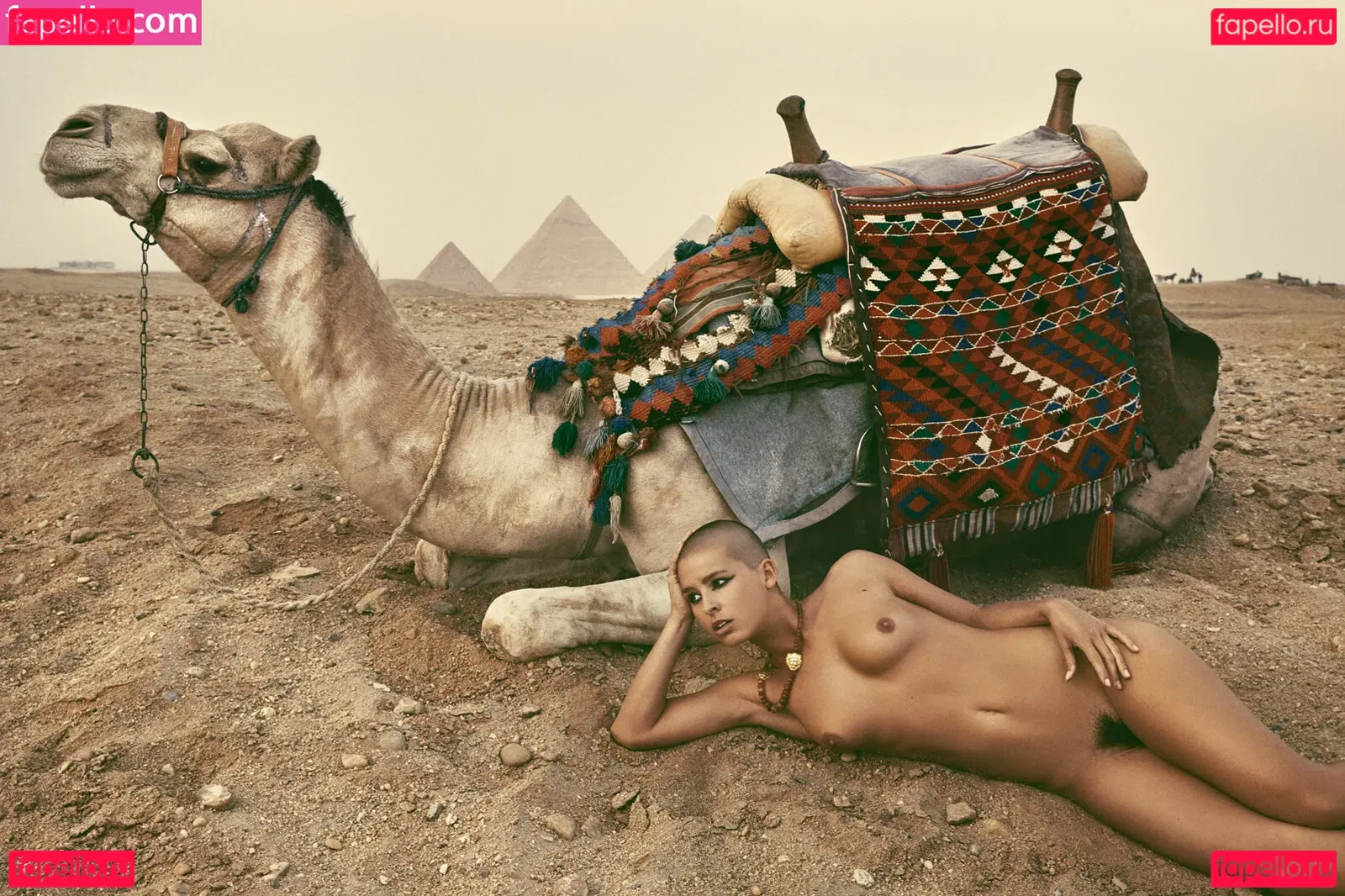 Marisa Papen Onlyfans Photo Gallery 