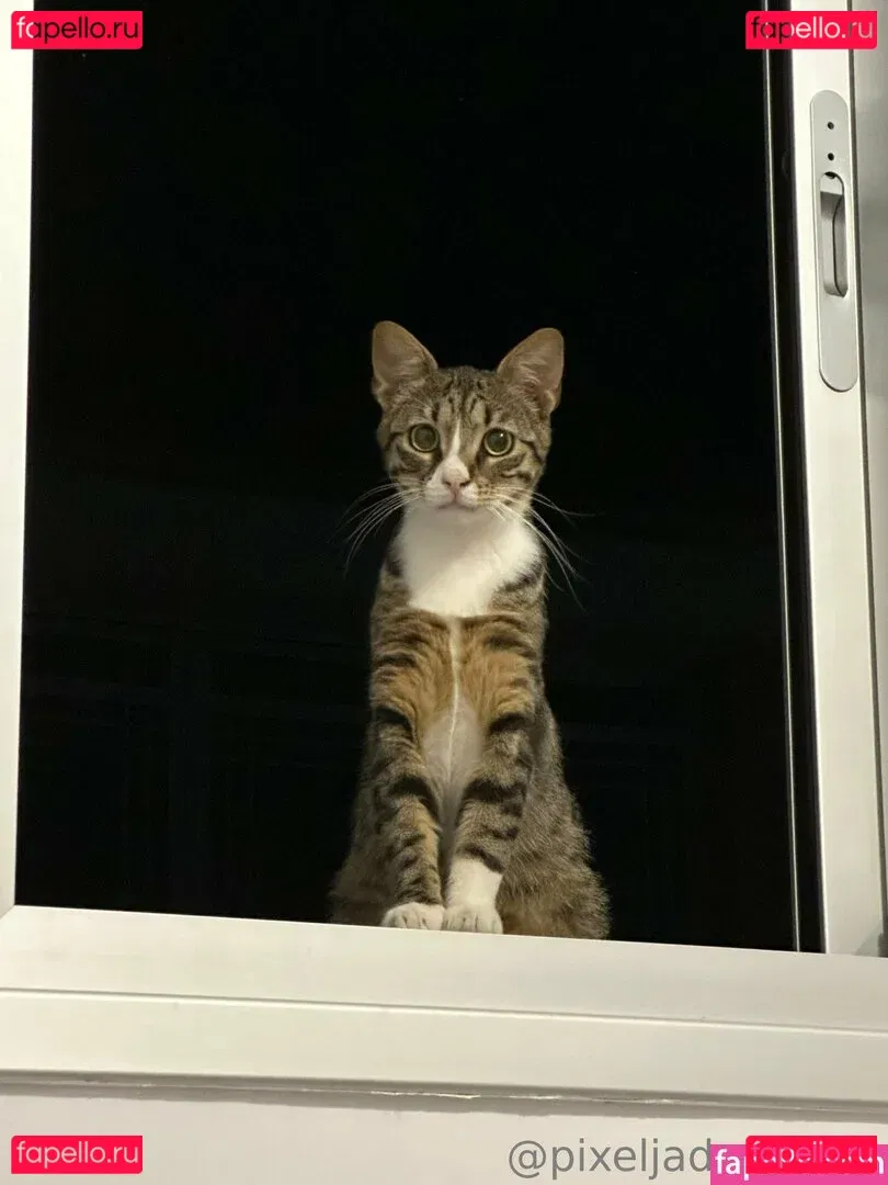 pixeljadearixela Onlyfans Photo Gallery 