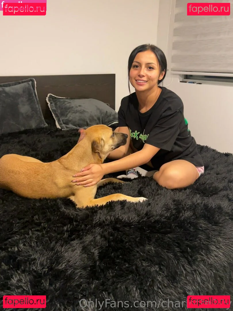 charlotte19y Onlyfans Photo Gallery 