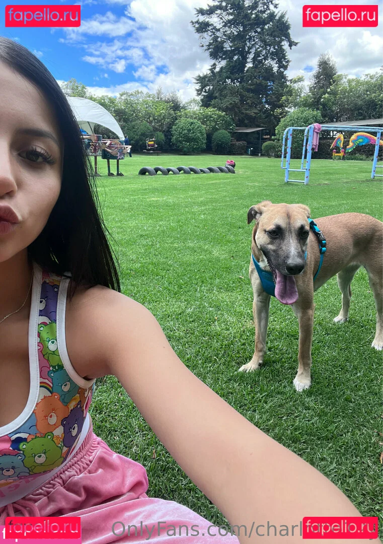 charlotte19y Onlyfans Photo Gallery 