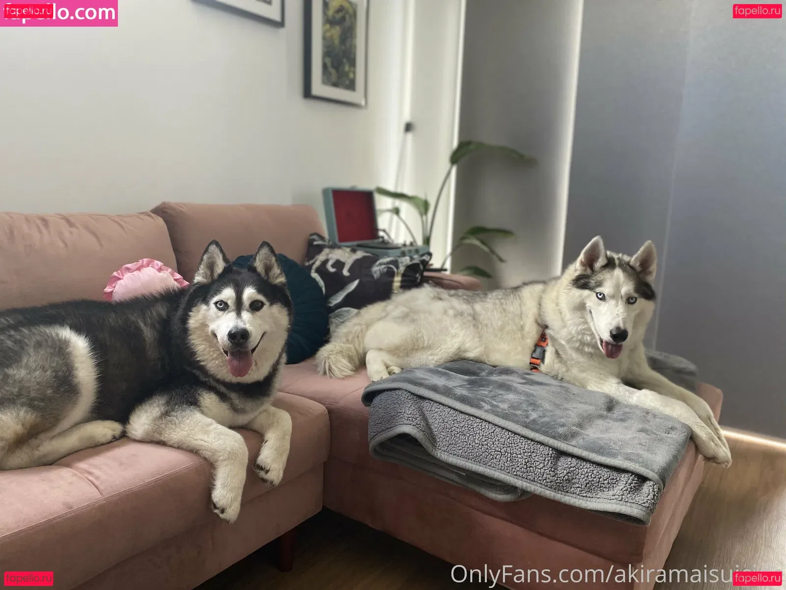 akiramaisuicide Onlyfans Photo Gallery 