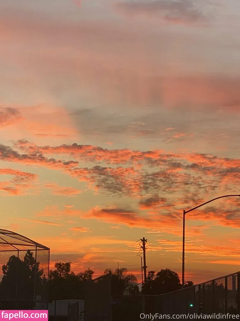 oliviawildinfree Onlyfans Photo Gallery 