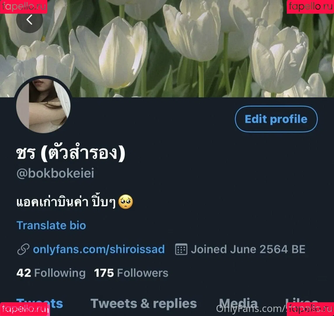 shiroissad Onlyfans Photo Gallery 
