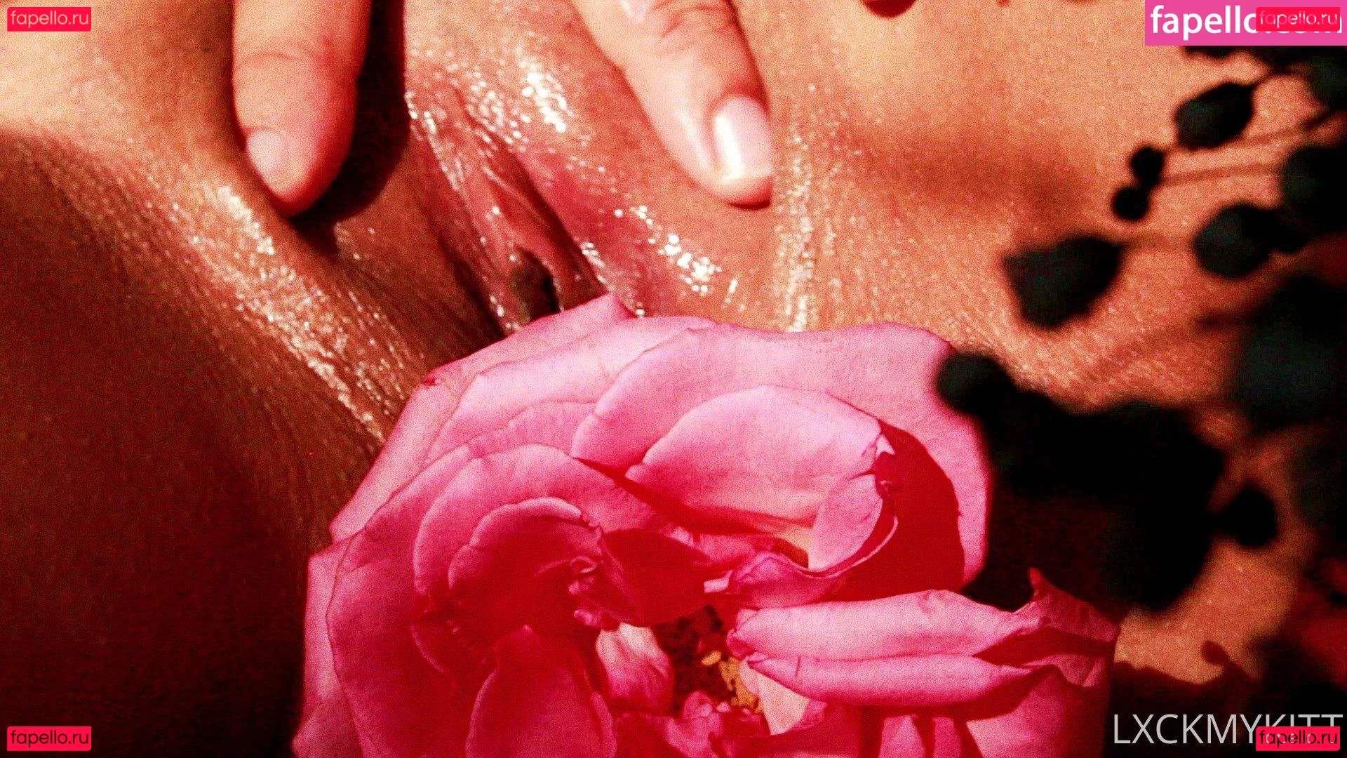 calikate209 Onlyfans Photo Gallery 