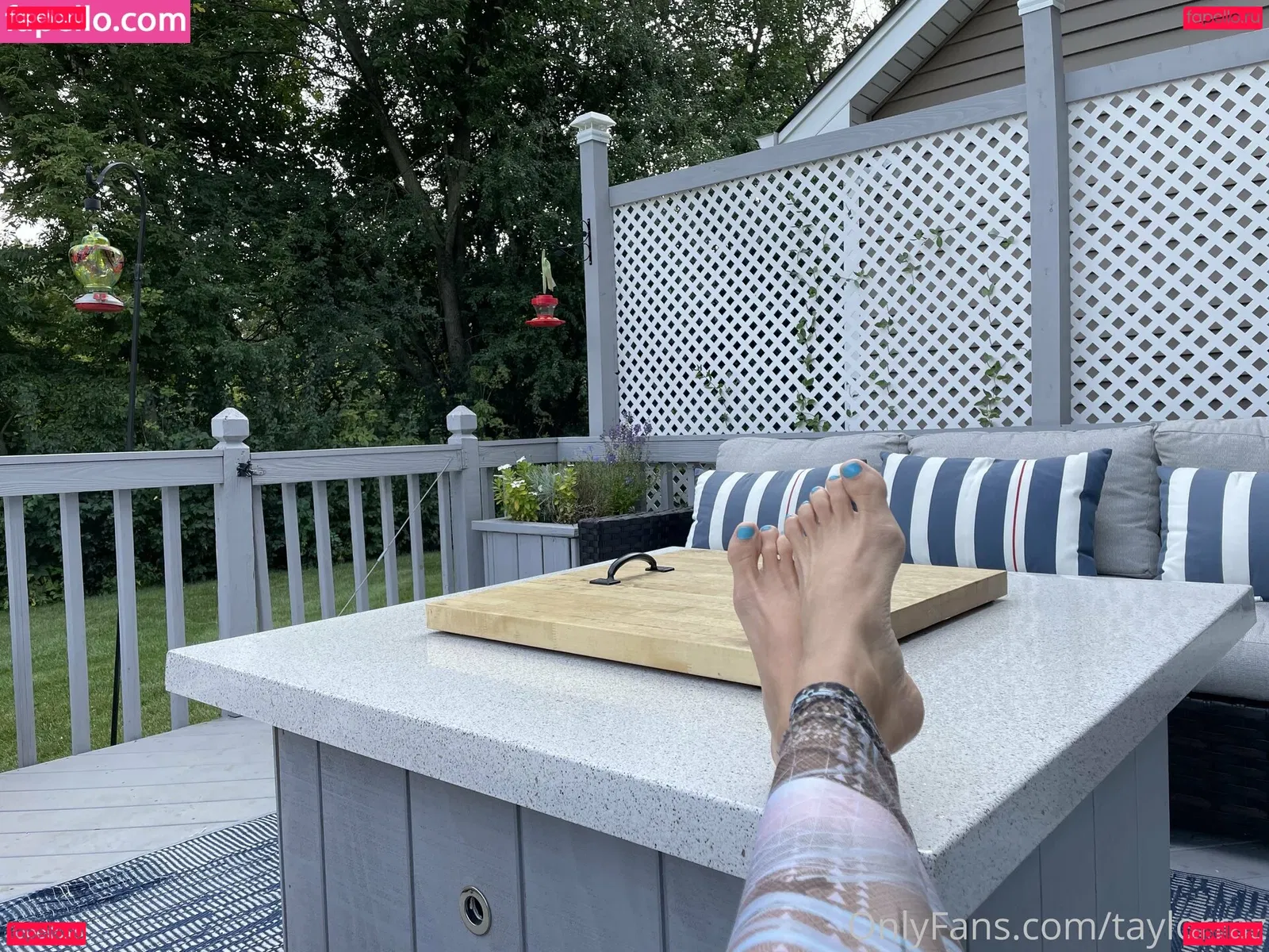 taylorraz Onlyfans Photo Gallery 