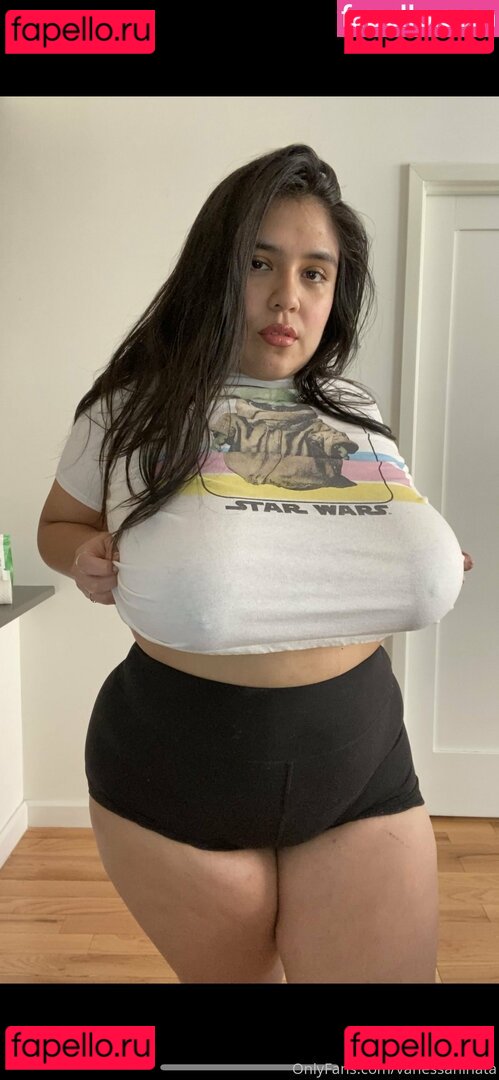 vanessahinata Nude Onlyfans Photo 48