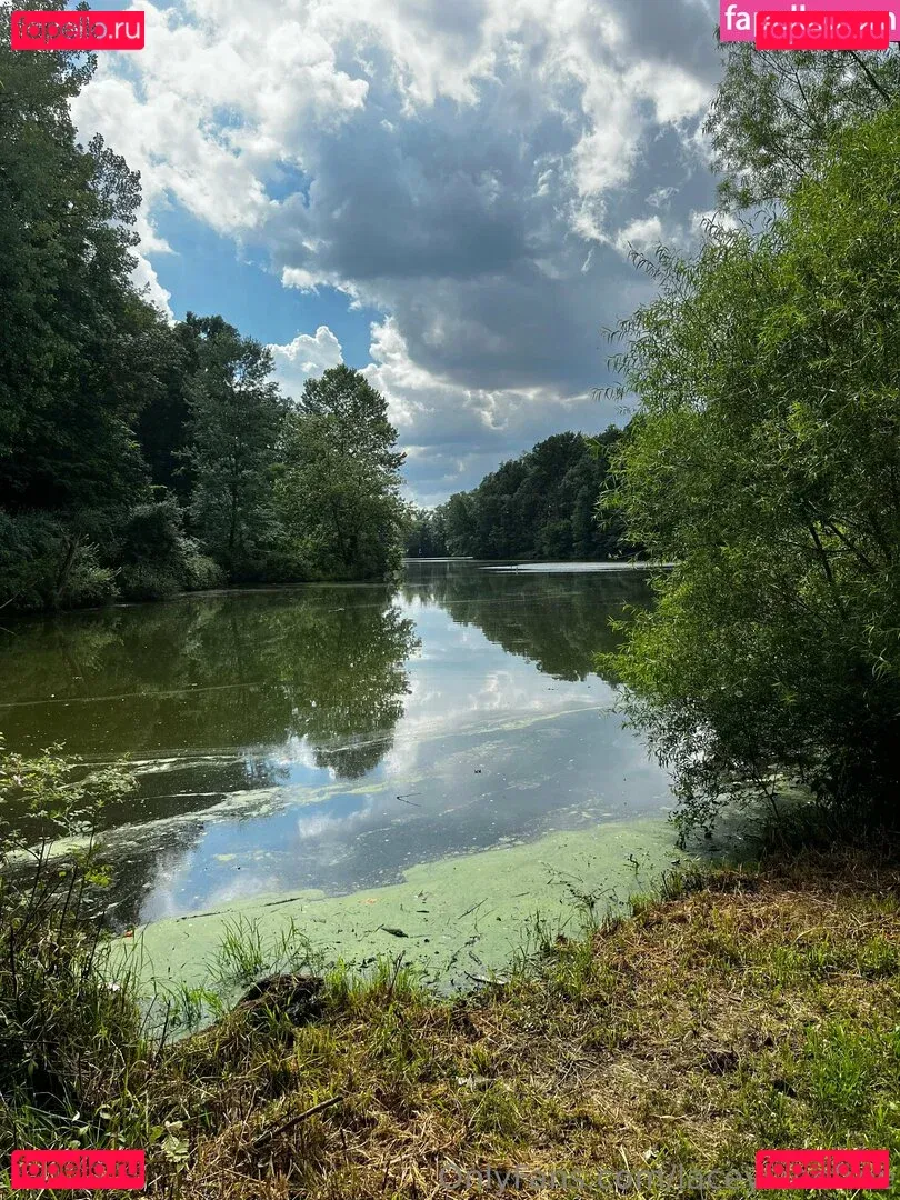 laceylanefree Onlyfans Photo Gallery 