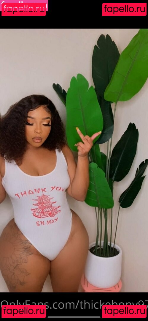thickebony97 Nude Onlyfans Photo 28