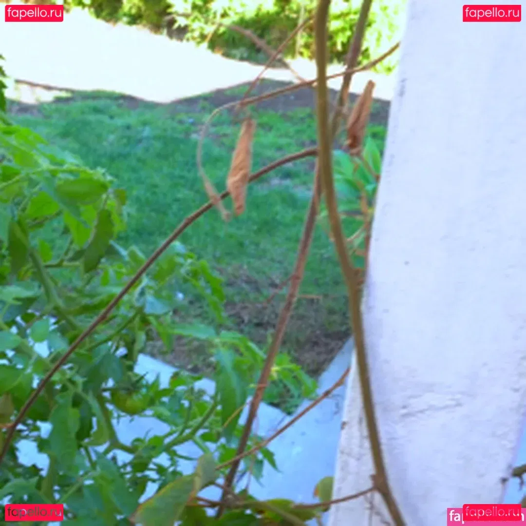 River Lynn Onlyfans Photo Gallery 